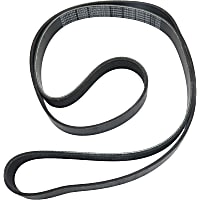 Main Drive Serpentine belt