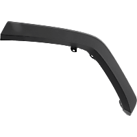 Driver Side Quarter Panel Molding