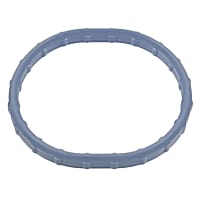 PG91 Intake Plenum Gasket