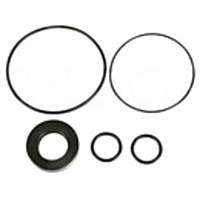 8401263 Power Steering Seal