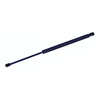 613786 Driver or Passenger Side Hood