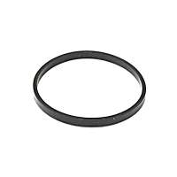112-203-00-76 Thermostat O-Ring