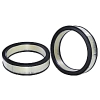 42095 Air Filter