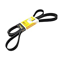 Serpentine Belt - 