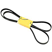 Serpentine Belt, Single Belt Drive - 