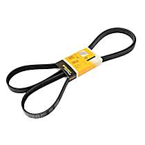 Serpentine Belt - 