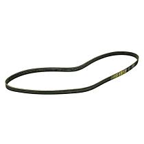 Serpentine Belt, 8 Cyl 4.2L, Single Belt Drive. - 