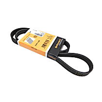 Serpentine Belt, 8 Cyl 4.2L, Single Belt Drive. - 