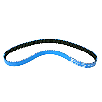 11-31-1-711-081 Timing Belt - Continental 11311711081