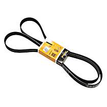 C2C37063 Serpentine Belt - Sold Individually