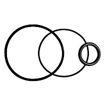 83501825 Power Steering Pump Seal Kit