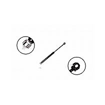 84417 Driver or Passenger Side Liftgate Lift Support
