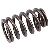 12592506 Valve Spring - Direct Fit