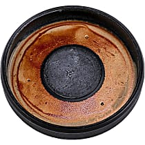12643564 Camshaft Plug