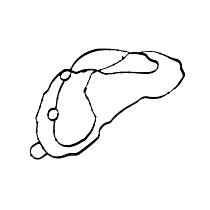 12649041 Outer Valve Cover Gasket