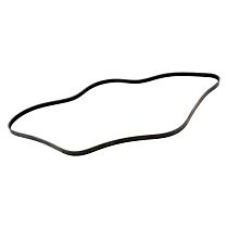 Serpentine Belt, 4 Cyl 1.5L, FWD - Primary