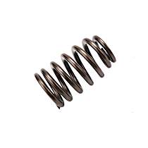 12686721 Valve Spring
