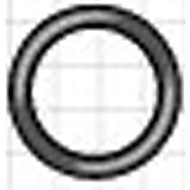 15-30570 A/C Compressor Hose Seal