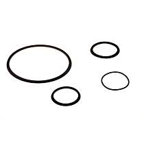 24211300 Automatic Transmission Piston Seal Ring - Direct Fit