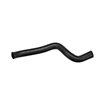 24631L Upper Gold Series Radiator Hose, Rubber