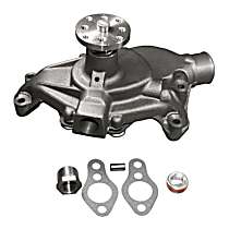 252-581 Professional Series Water Pump New