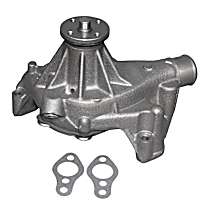 252-719 Professional Series Water Pump New