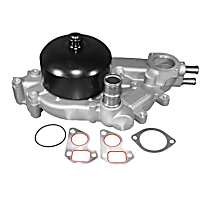 252-846 Professional Series Water Pump New
