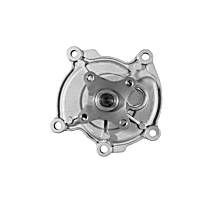 252-897 Professional Series Water Pump New