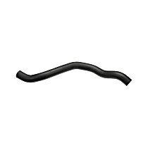 Radiator Hose Lower, GAS, Manual Transaxle, Rubber, 6 Cyl 3.5L