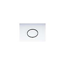 29551221 Seal Ring - Direct Fit