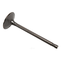 55563529 Intake Valve - Sold individually