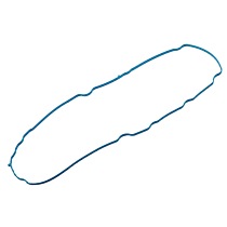 55574658 Seal