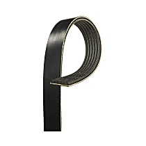 Serpentine Belt, 4 Cyl 2.4L, GAS - Alternator