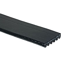 Serpentine Belt, 6 Cyl 3.5L - 