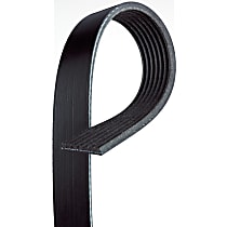Serpentine Belt, 6 Cyl 3.0L, With Auto Temperature Control - 