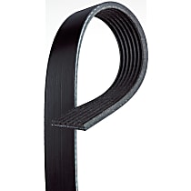Serpentine Belt, 6 Cyl 3.8L, Truck - 
