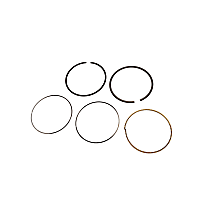 89017484 Piston Ring Set - Direct Fit, Set