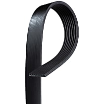 Serpentine Belt, 6 Cyl 3.0L - 