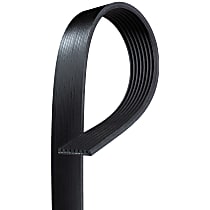 Serpentine Belt, 8 Cyl 5.4L, Truck - 