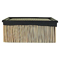 Air Filter, 6 Cyl 6.7L, Professional Series - 