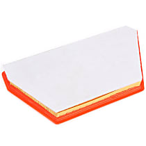 Oiled Air Filter, 6 Cyl 3.6L, AWD - 