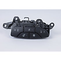 D1959E Cruise Control Switch GM Original Equipment Series