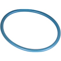 G48 Fuel Tank Sending Unit O-Ring