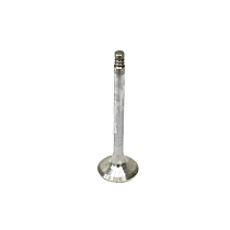 039-109-611-L Exhaust Valve - Sold individually