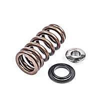 Valve Spring - Direct Fit