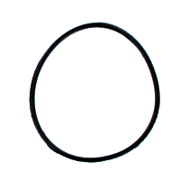 AWO2074 Water Outlet Gasket - Direct Fit