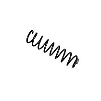 Bilstein 36-269204 Rear Coil Spring B3 OE Replacement