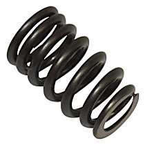 Valve Spring - Direct Fit