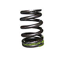 53021056 Valve Spring
