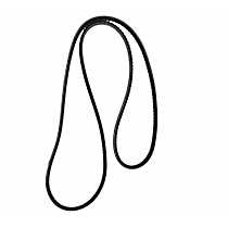 Accessory Drive Belt - Direct Fit, Sold individually